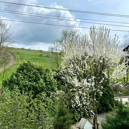 بيت ضيافة Agrodomek Rzepiska