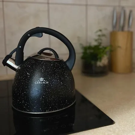 招待所 Agrodomek Rzepiska