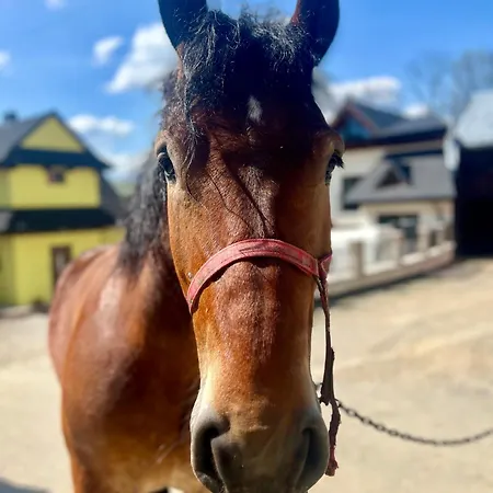 בית הארחה Agrodomek Rzepiska