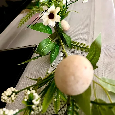 招待所 Agrodomek Rzepiska