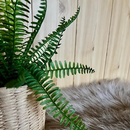 Agrodomek 3* Rzepiska